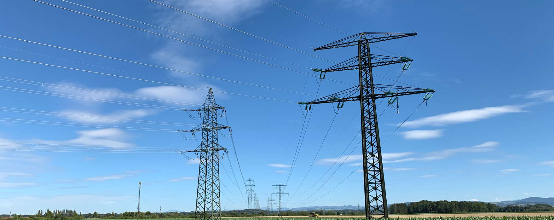 Zwei Strommasten auf einem Maisfeld